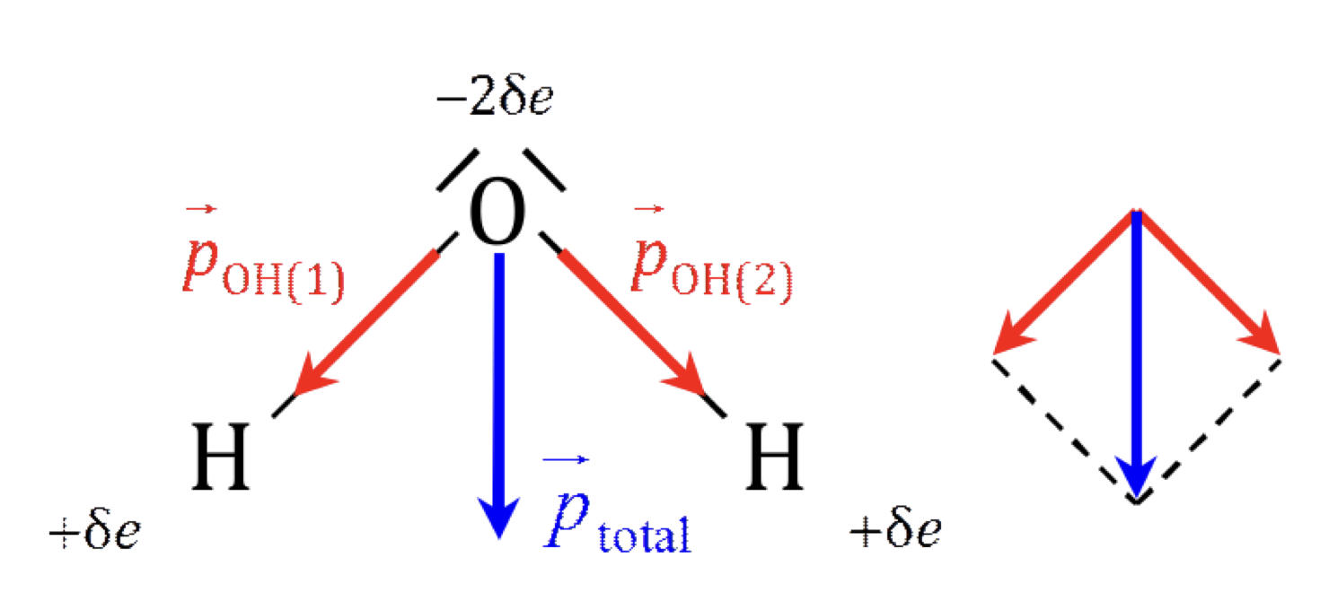 image-20231231141811558